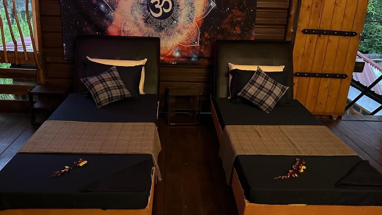 אלה A Lounge Hostel And Cafe מראה חיצוני תמונה