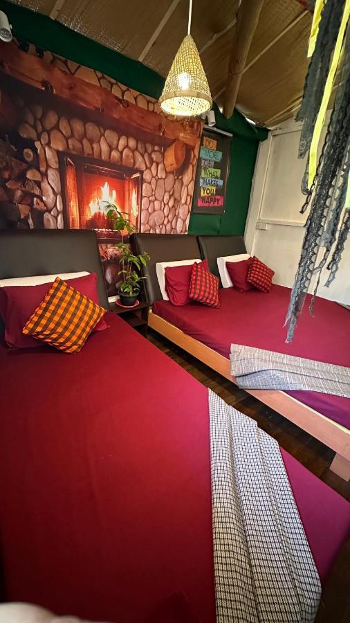 אלה A Lounge Hostel And Cafe מראה חיצוני תמונה