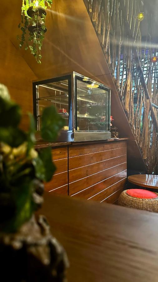 אלה A Lounge Hostel And Cafe מראה חיצוני תמונה