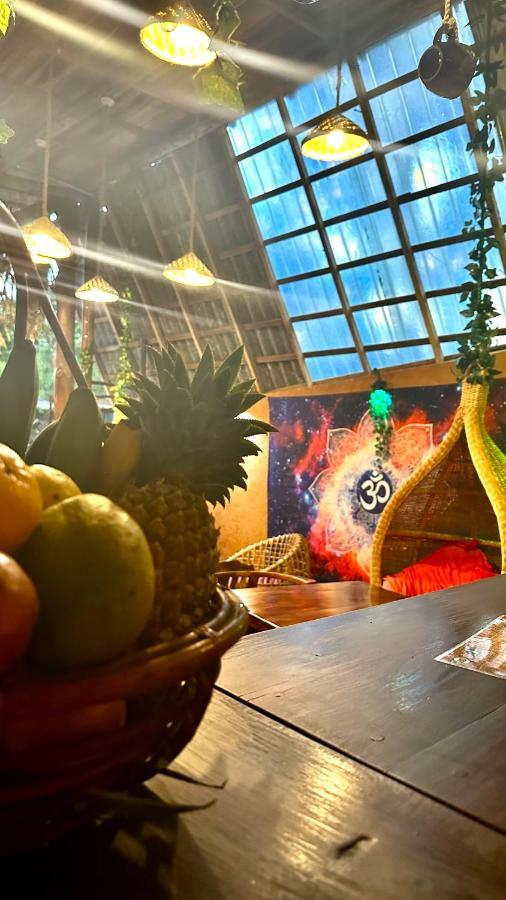 אלה A Lounge Hostel And Cafe מראה חיצוני תמונה
