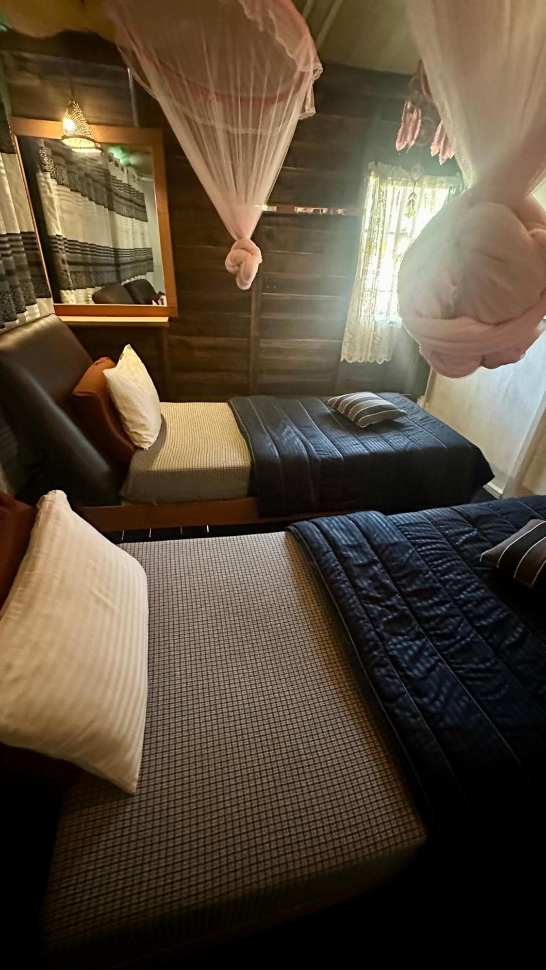 אלה A Lounge Hostel And Cafe מראה חיצוני תמונה