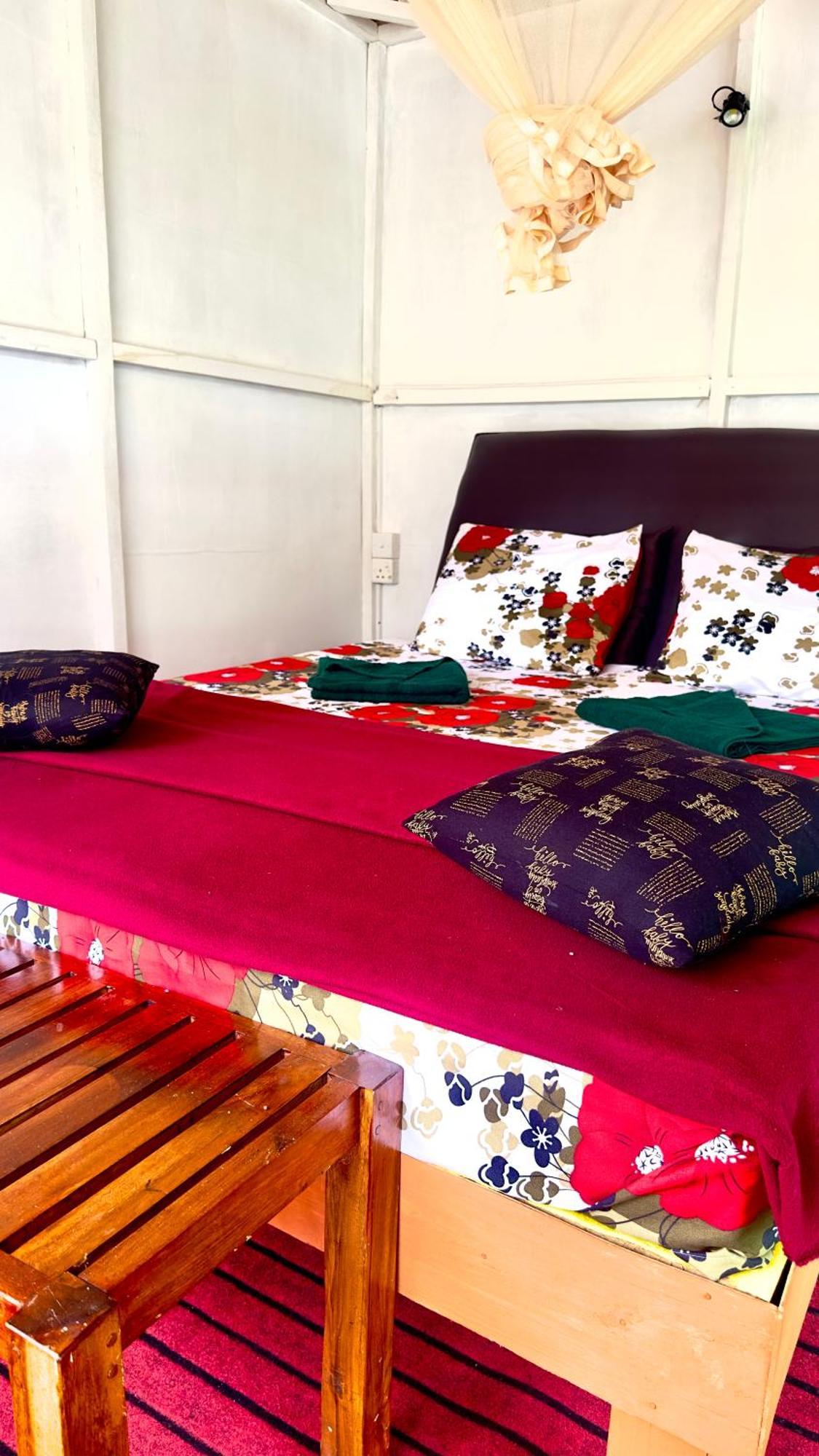 אלה A Lounge Hostel And Cafe מראה חיצוני תמונה