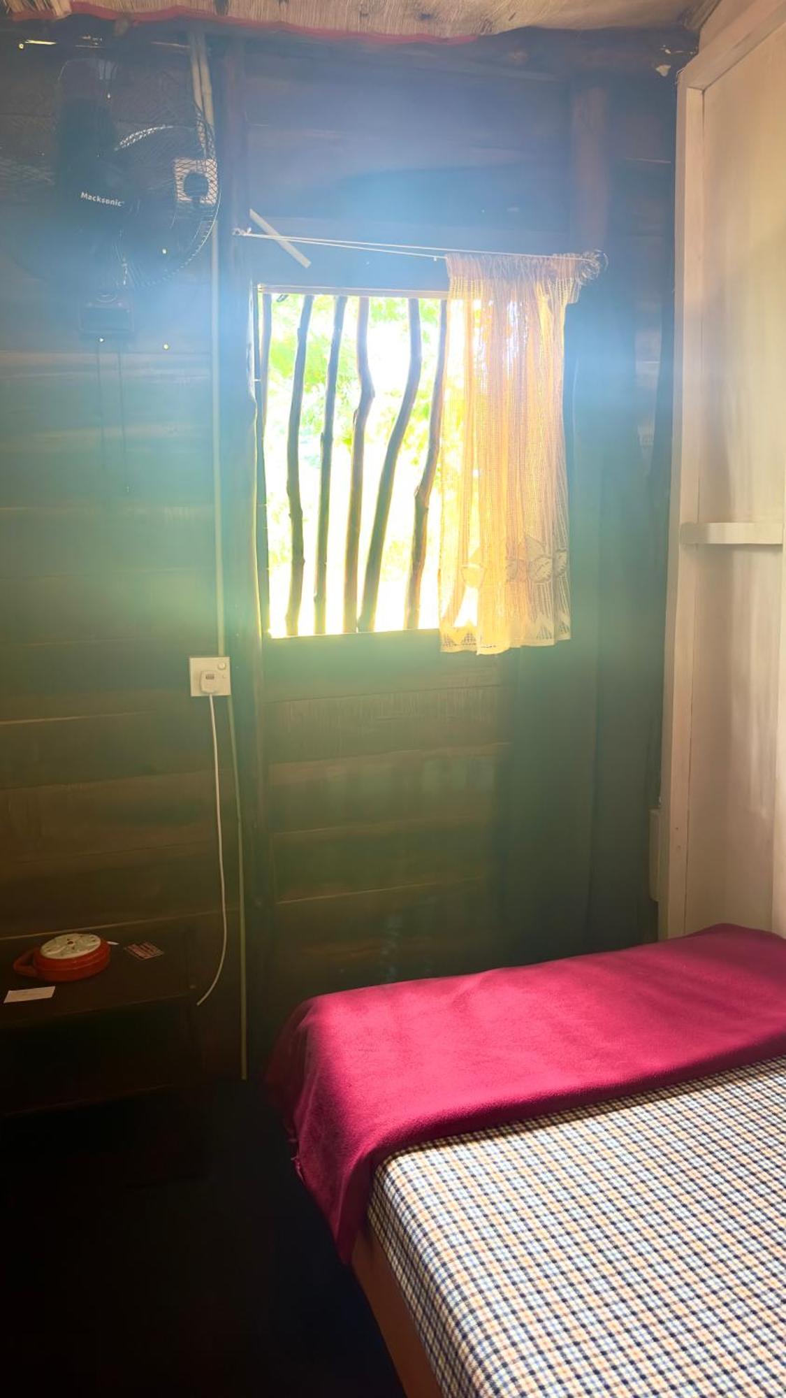 אלה A Lounge Hostel And Cafe מראה חיצוני תמונה