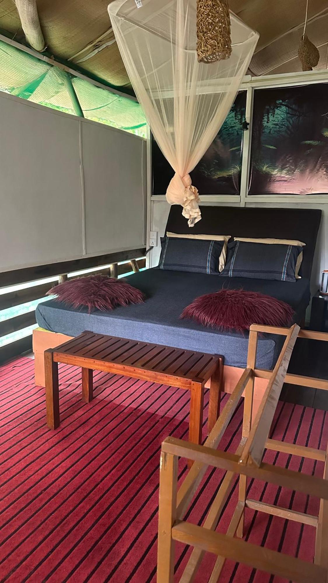 אלה A Lounge Hostel And Cafe מראה חיצוני תמונה