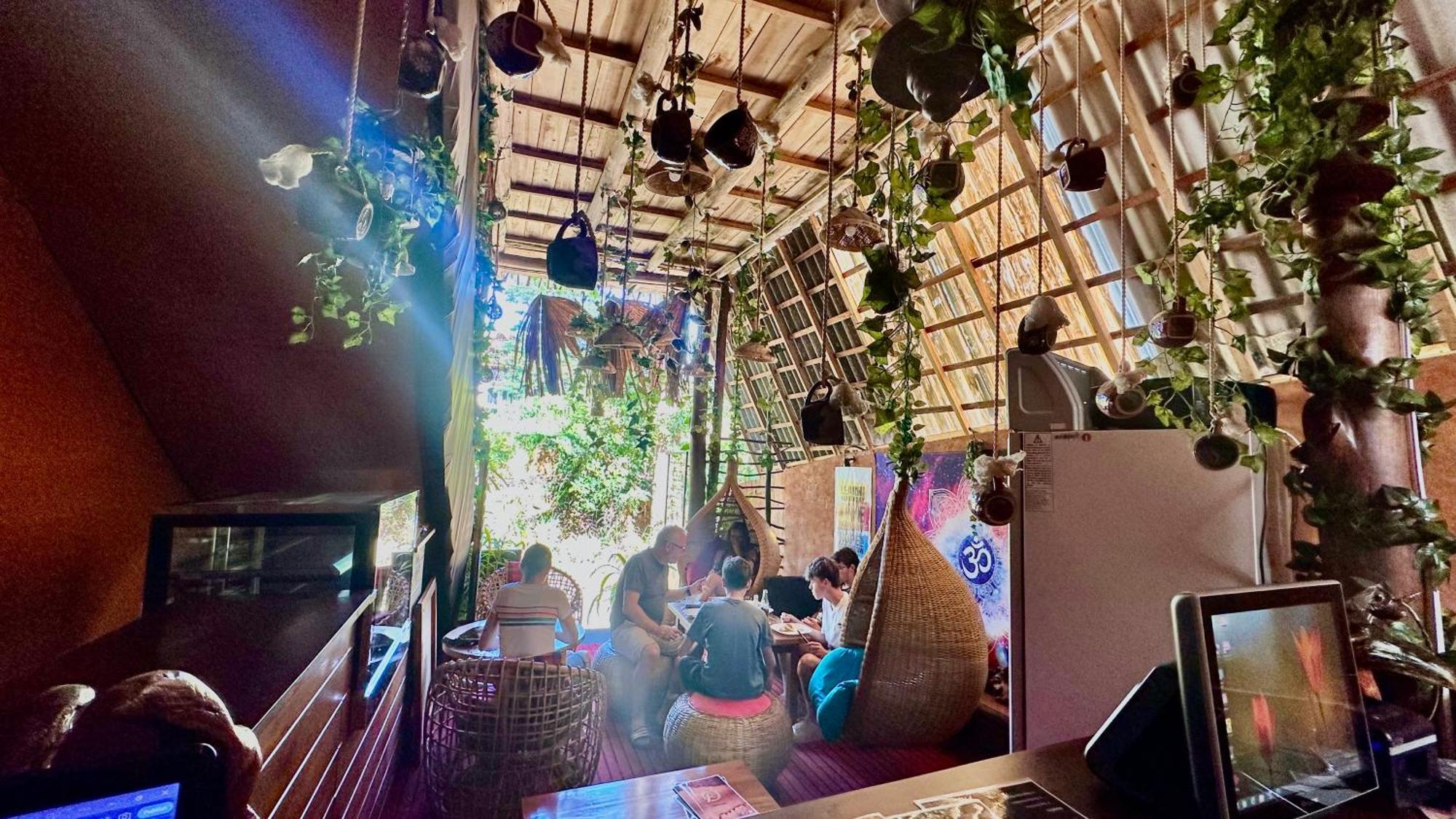 אלה A Lounge Hostel And Cafe מראה חיצוני תמונה