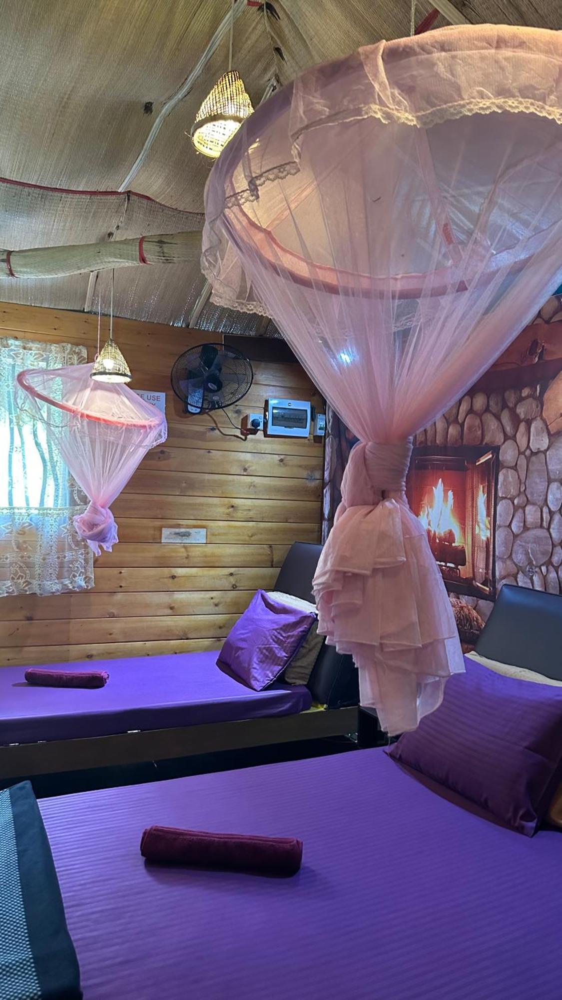אלה A Lounge Hostel And Cafe מראה חיצוני תמונה