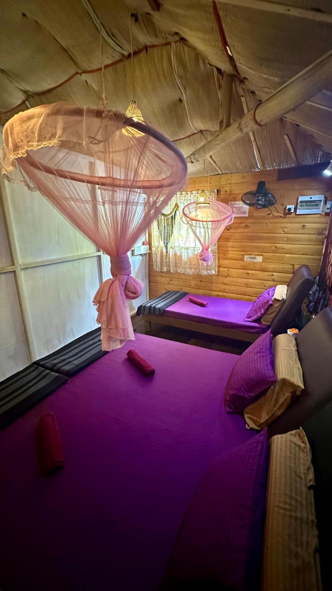 אלה A Lounge Hostel And Cafe מראה חיצוני תמונה