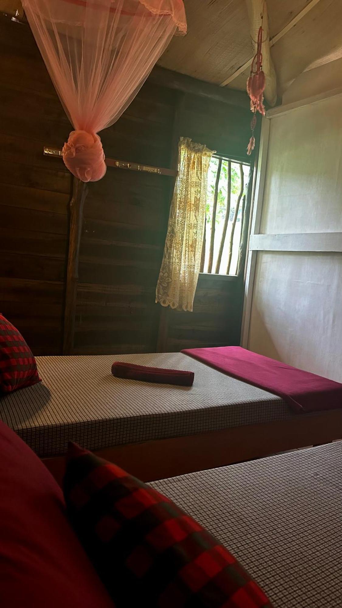 אלה A Lounge Hostel And Cafe מראה חיצוני תמונה